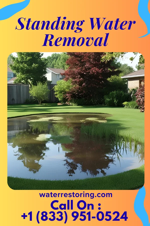 Standing Water Removal in Hazelwood, MO
